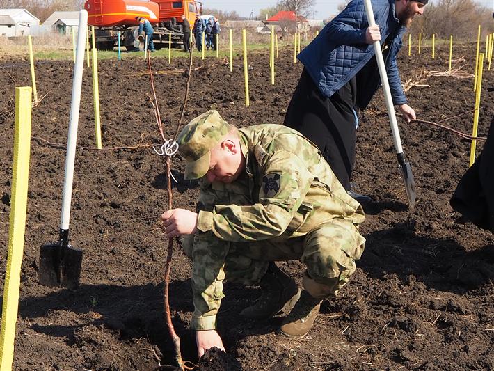 Белгородские росгвардейцы приняли участие в закладке парка силовых структур