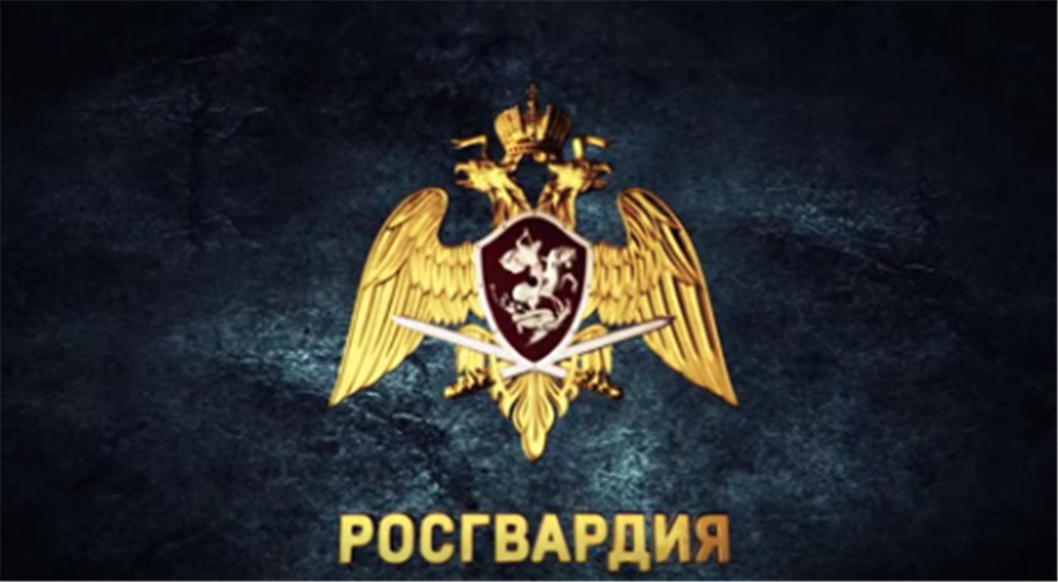 В Ярославле сотрудники Росгвардии задержали мужчину, устроившего поножовщину на дороге 