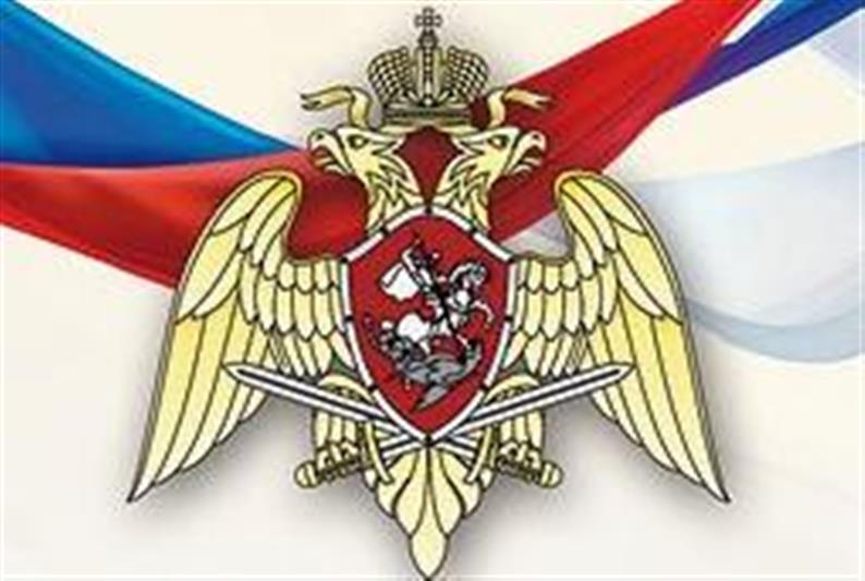 Информация СМИ