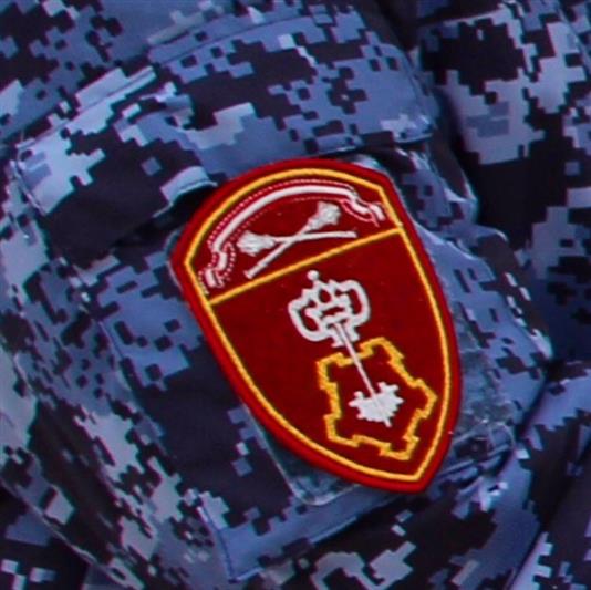 Сотрудники подмосковной вневедомственной охраны вернули матери потерявшегося сына