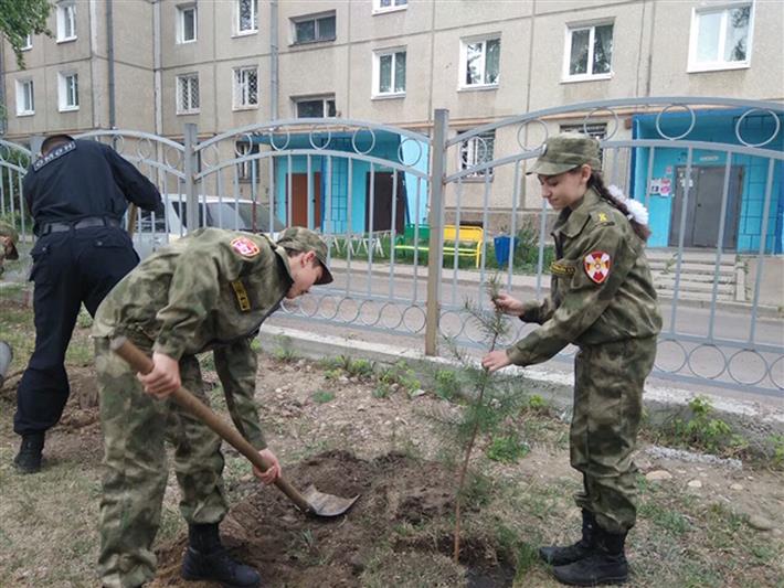 Ангарский ОМОН и юнгвардейцы высадили деревья в память о графе Комаровском (видео)
