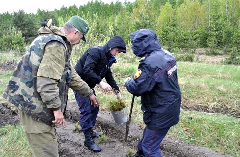 В Зауралье росгвардейцы присоединились к всероссийской экологической акции «Посади дерево»