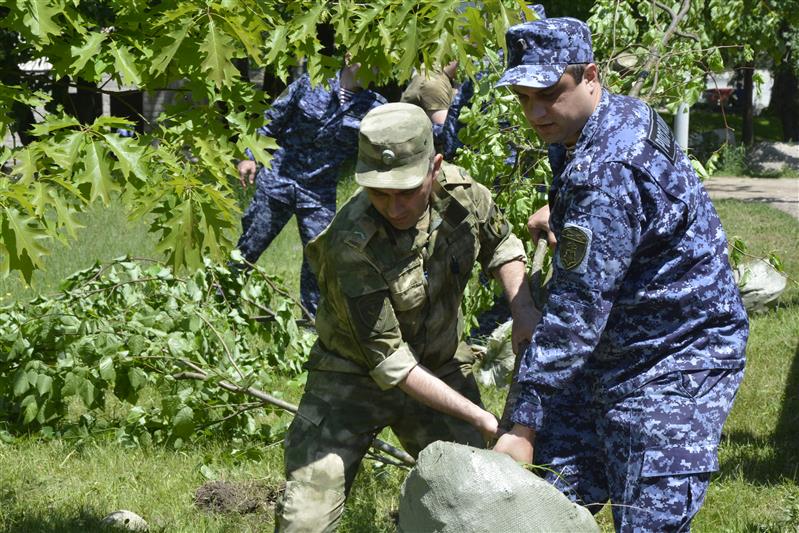 В Кабардино-Балкарии прошла акция «Аллея Росгвардии»