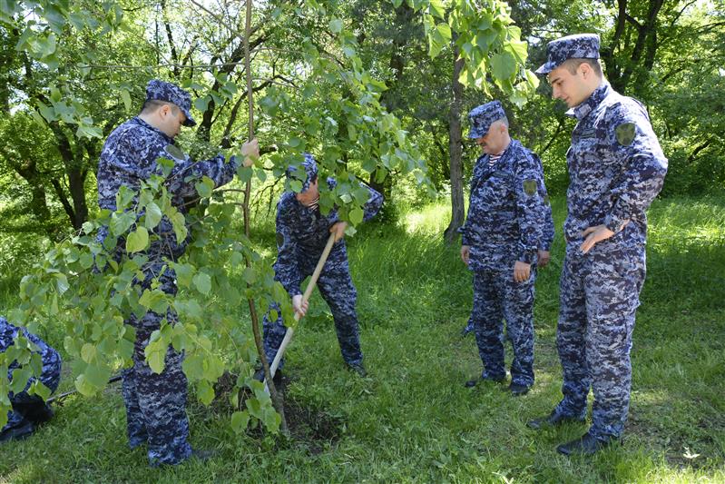 В Кабардино-Балкарии прошла акция «Аллея Росгвардии»