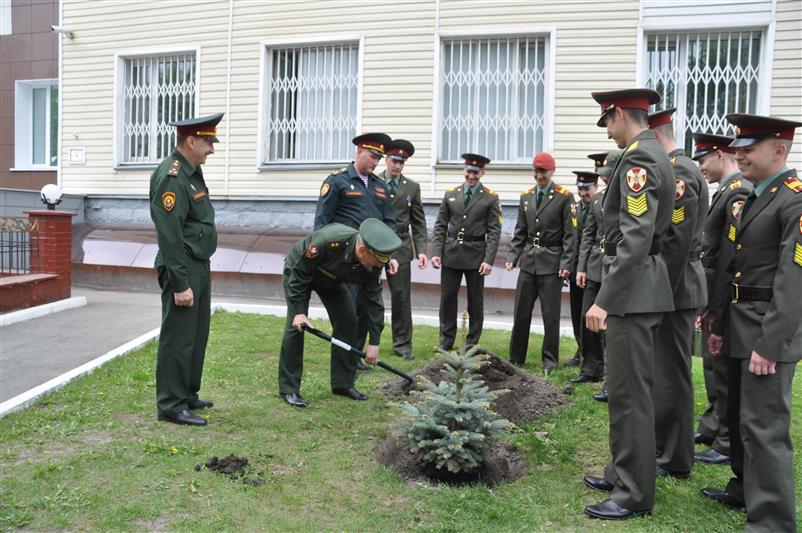 Выпускники Новосибирского военного института Росгвардии высадили ели в память о курсантских годах