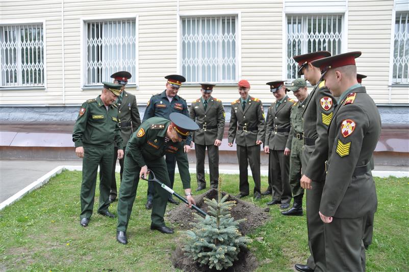 Выпускники Новосибирского военного института Росгвардии высадили ели в память о курсантских годах
