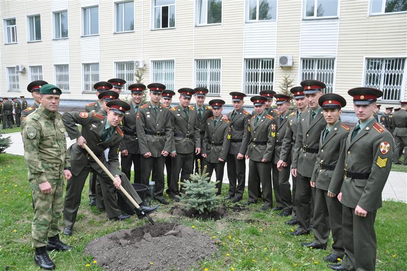 Выпускники Новосибирского военного института Росгвардии высадили ели в память о курсантских годах