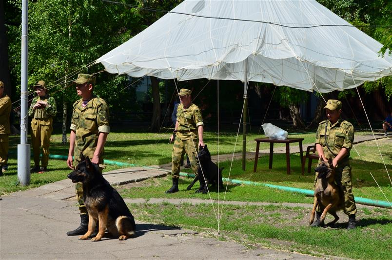Военнослужащие кинологического центра Росгвардии провели в Саратове показательные выступления по случаю Дня пограничника