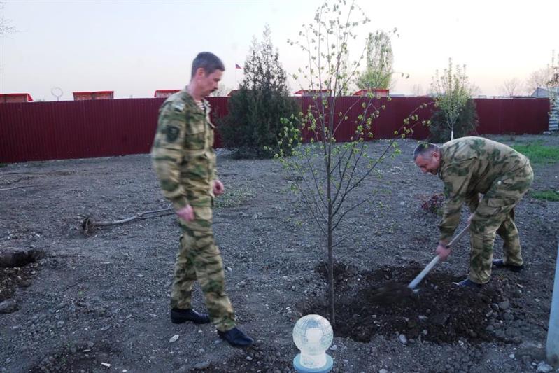Военнослужащие Объединенной группировки войск (сил) на Северном Кавказе подключились к акции «Аллея Росгвардии»