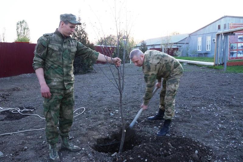 Военнослужащие Объединенной группировки войск (сил) на Северном Кавказе подключились к акции «Аллея Росгвардии»