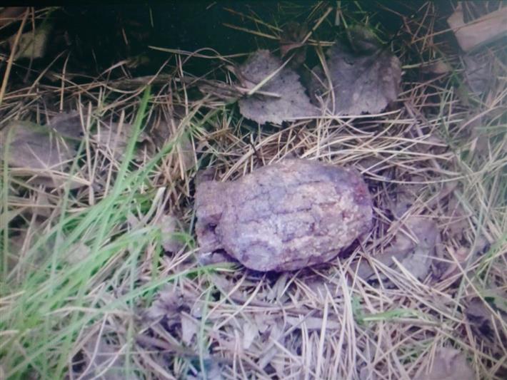 За выходные сотрудники красноярского ОМОН трижды выезжали на обследование найденных гражданами боеприпасов