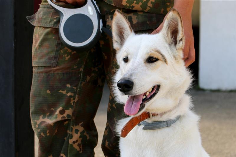 Дети сотрудников и военнослужащих ставропольского управления Росгвардии приняли участие в легкоатлетическом забеге памяти Алексея Кадочникова (фото)