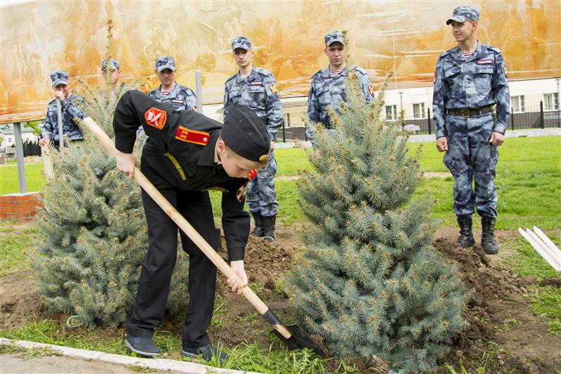Военнослужащие дивизии им. Ф.Э. Дзержинского приняли участие в акции «Лес Победы»