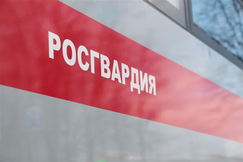 Угонщиков автомобиля, оборудованного сигнализацией Росгвардии, задержали в Подмосковье