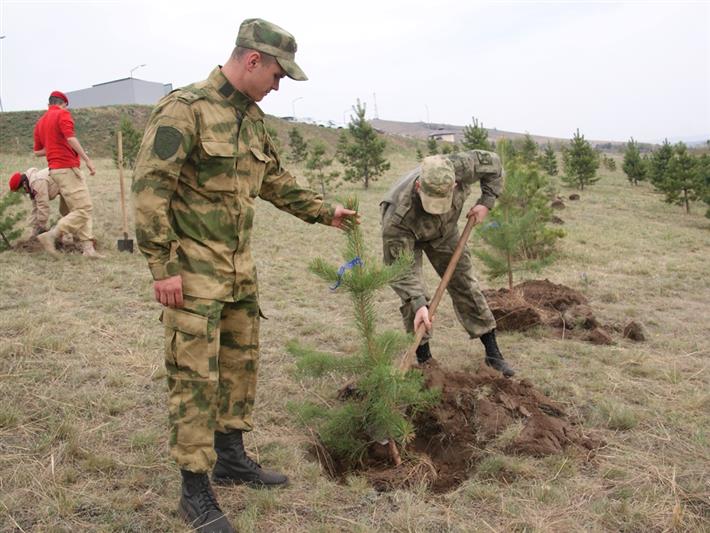 В Абакане росгвардейцы высадили молодые деревья на Аллее Памяти