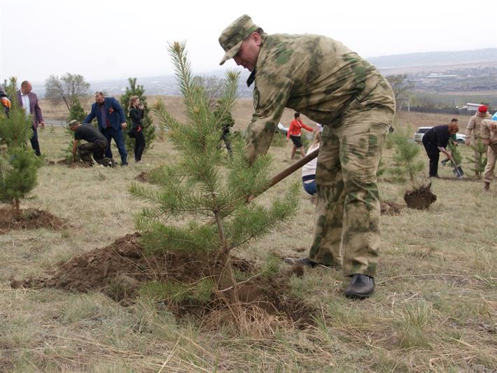 В Абакане росгвардейцы высадили молодые деревья на Аллее Памяти