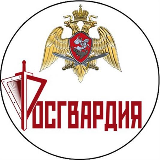 В Великом Устюге сотрудники Росгвардии вернули родителям потерявшегося ребенка