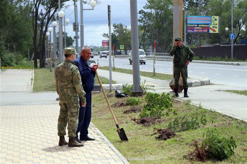 Сахалинские росгвардейцы высадили еловую аллею в честь 250-летия со дня рождения графа Комаровского 