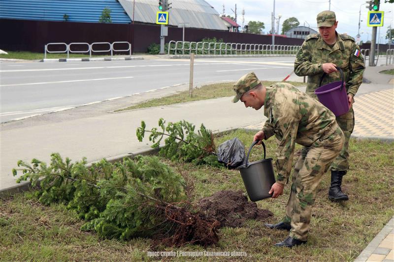 Сахалинские росгвардейцы высадили еловую аллею в честь 250-летия со дня рождения графа Комаровского 