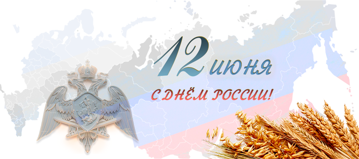Генерал армии Виктор Золотов поздравил личный состав Росгвардии с Днем России