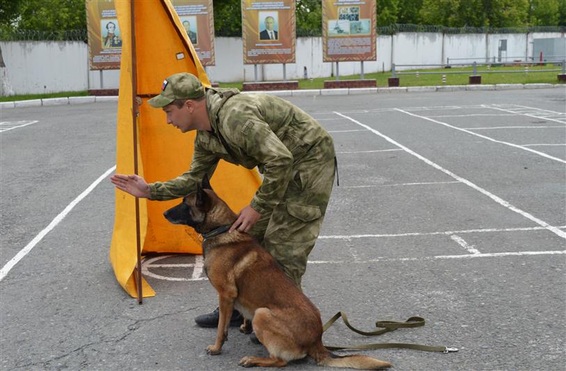 Определились победители чемпионата Уральского округа Росгвардии по многоборью кинологов