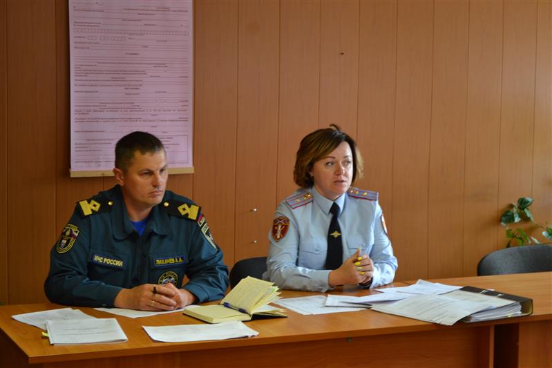 Руководитель новгородского отделения лицензионно-разрешительной работы провела информационную встречу с сотрудниками МЧС 