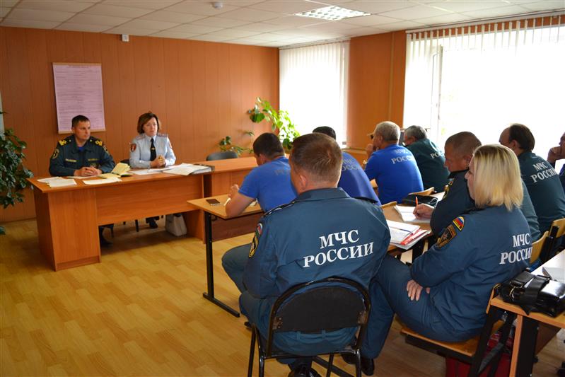 Руководитель новгородского отделения лицензионно-разрешительной работы провела информационную встречу с сотрудниками МЧС 