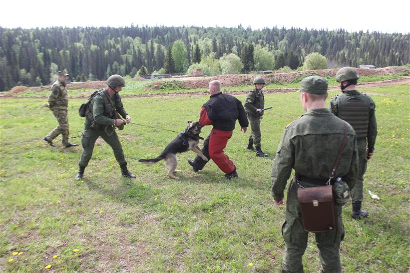 Выпускники Пермского военного института Росгвардии сдали государственный экзамен