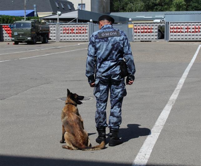Кинологи ставропольского управления Росгвардии рассказали журналистам о специфике своей работы