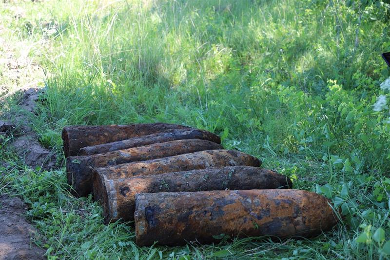 Взрывотехники Росгвардии обследовали взрывоопасные предметы в Рязанской области