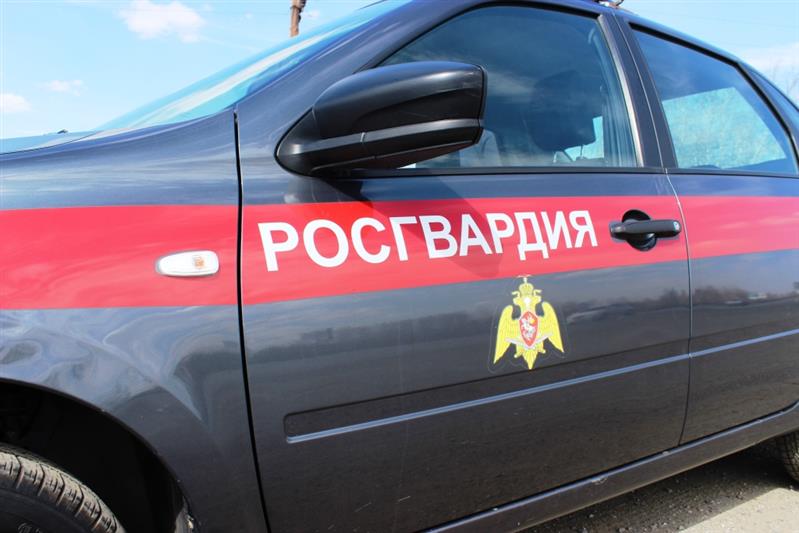 В Челябинске сотрудники Росгвардии задержали подозреваемого в наезде на пешеходов с оставлением места ДТП