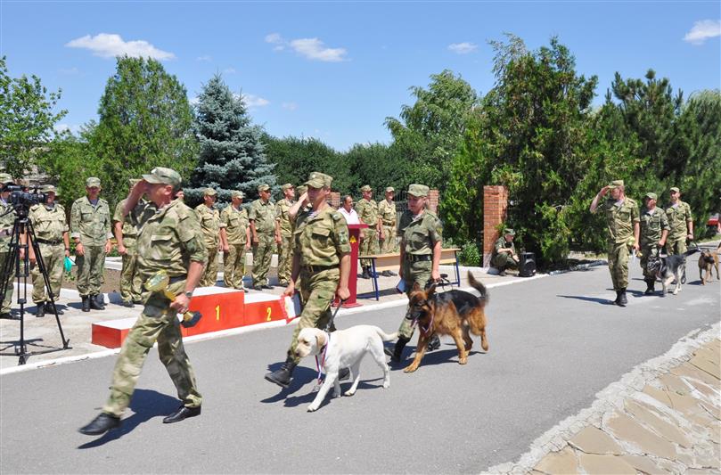 Определились победители и призеры чемпионата по многоборью кинологов Южного округа Росгвардии (фото, видео)