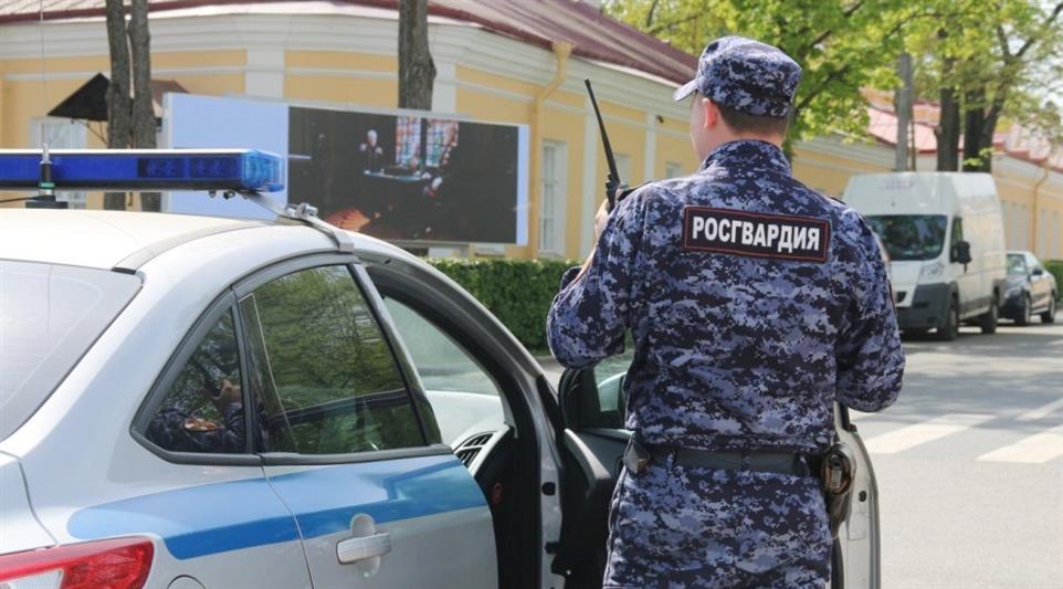 В Калининградской области сотрудники Росгвардии спасли местного жителя, застрявшего в бетонной трубе