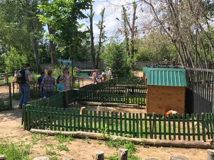 Дети росгвардейцев погостили  в «доме живой природы»