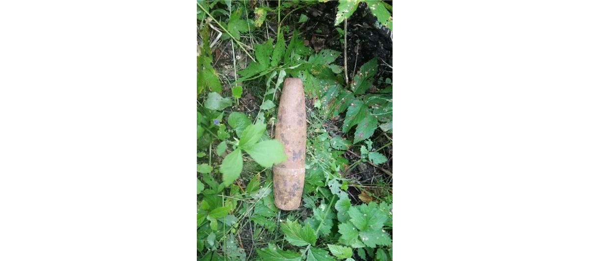 Взрывотехники рыбинского ОМОН обследовали боеприпас, обнаруженный местным жителем на приусадебном участке