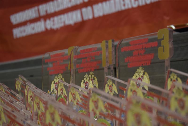 В Казани определились чемпионы Приволжского округа Росгвардии по комплексному единоборству (фото)
