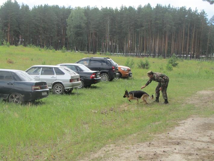 Определен победитель чемпионата Приволжского округа Росгвардии по многоборью кинологов