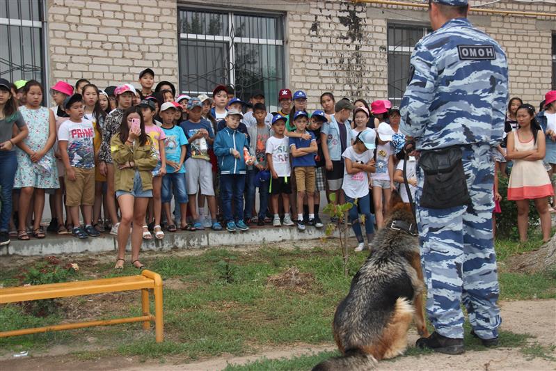 Росгвардейцы провели тематическую акцию в детском оздоровительном лагере «Джангар» в Калмыкии