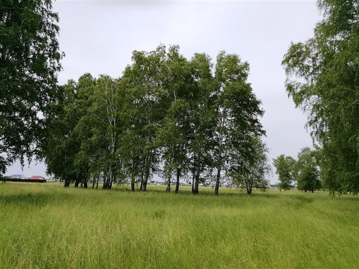 В Тюмени накануне Всемирного дня фотографа росгвардейцы организовали региональную онлайн-фотовыставку 