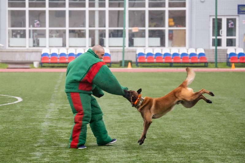 День спорта с Росгвардией