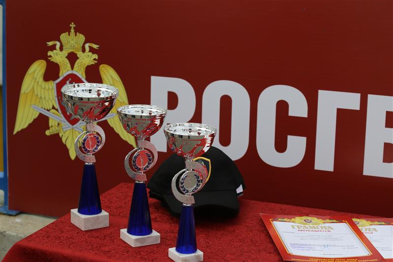 Нижний Новгород присоединился к Всероссийской акции «День Спорта с Росгвардией» (фото, видео)