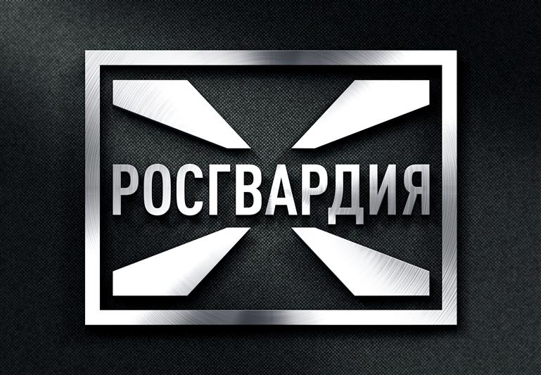 В Москве сотрудники Росгвардии задержали вора-альпиниста 