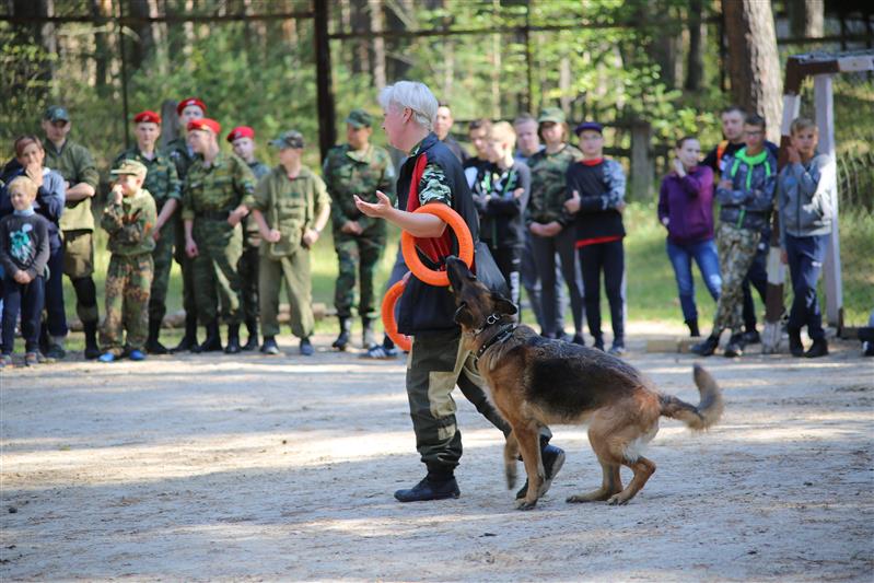Ветераны и военнослужащие Росгвардии приняли участие в сборах военно-патриотических клубов и юнармейских отрядов «Караван-2019»