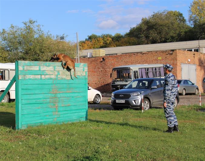 В Ульяновске сотрудники ОМОН Росгвардии  провели Урок мужества для кадет Следственного комитета