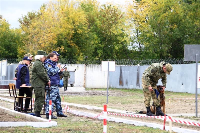 III всероссийский чемпионат Росгвардии по многоборью кинологов стартовал в Тюмени (фото, видео)