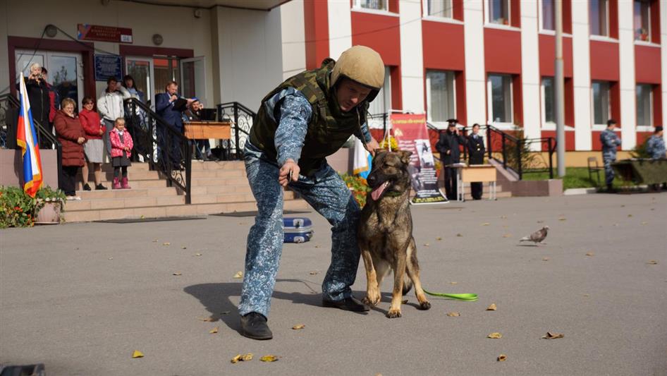Региональный этап всероссийского фестиваля Росгвардии «Безопасный город»  прошел в Петропавловске-Камчатском 