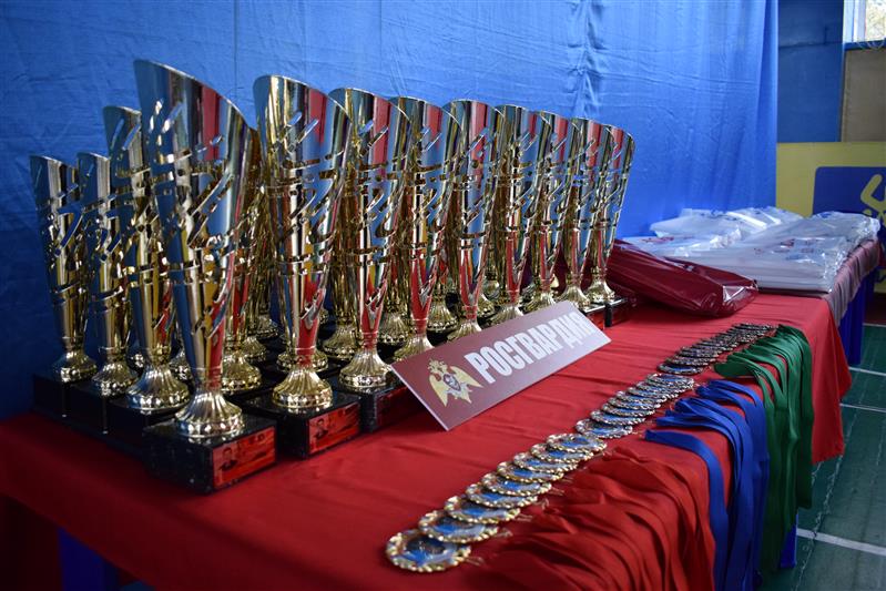 В Новосибирске прошел чемпионат по рукопашному бою  памяти Героя России  Ю.С. Климова 