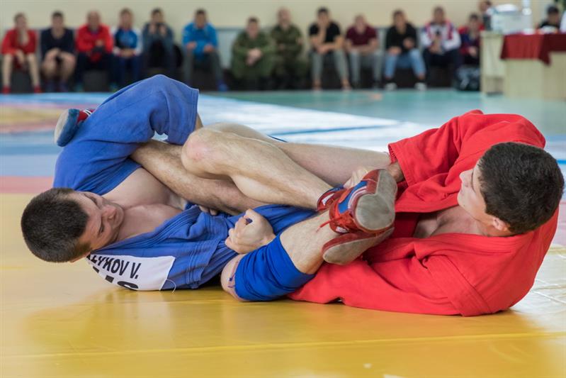 Чемпионат на Кубок Героя России генерал-полковника Анатолия Романова