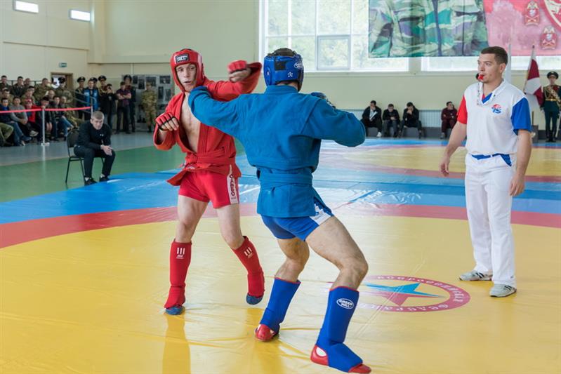 Чемпионат на Кубок Героя России генерал-полковника Анатолия Романова