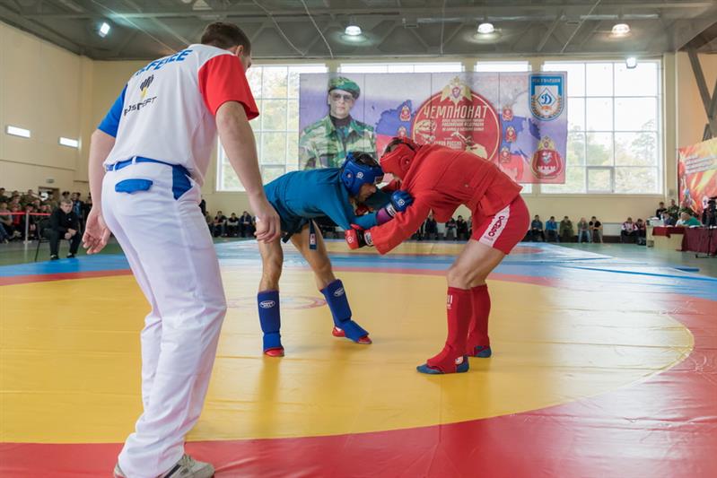 Чемпионат на Кубок Героя России генерал-полковника Анатолия Романова